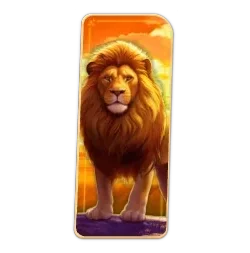 Lion
Safari